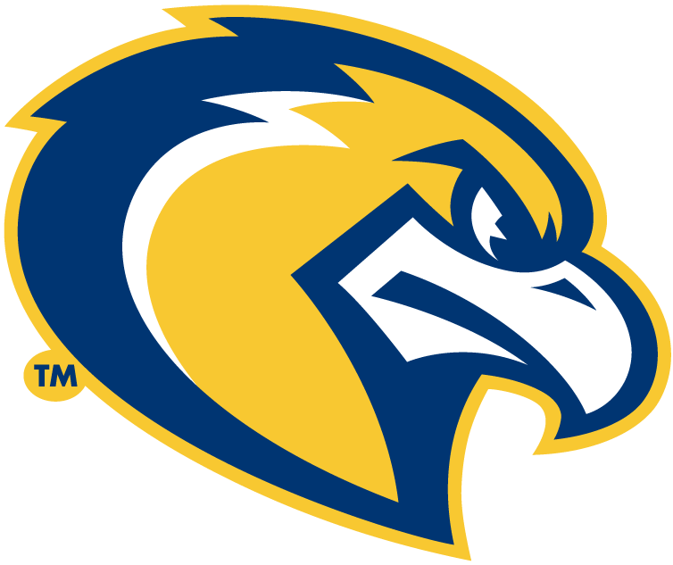 Marquette Golden Eagles 2005-Pres Alternate Logo diy iron on heat transfer
